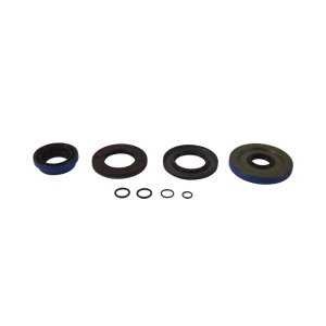 Polaris ACE 500 Transaxle Seal Kit - All Balls Racing - `17-`19